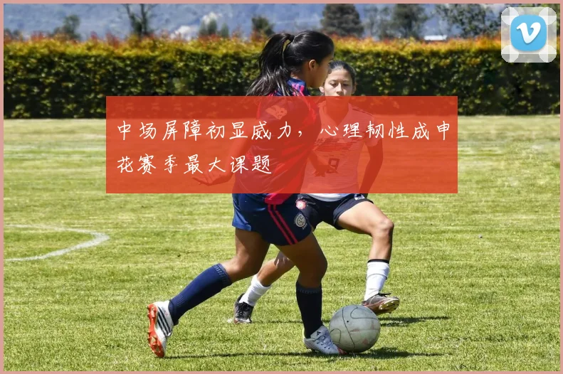 中场屏障初显威力，心理韧性成申花赛季最大课题