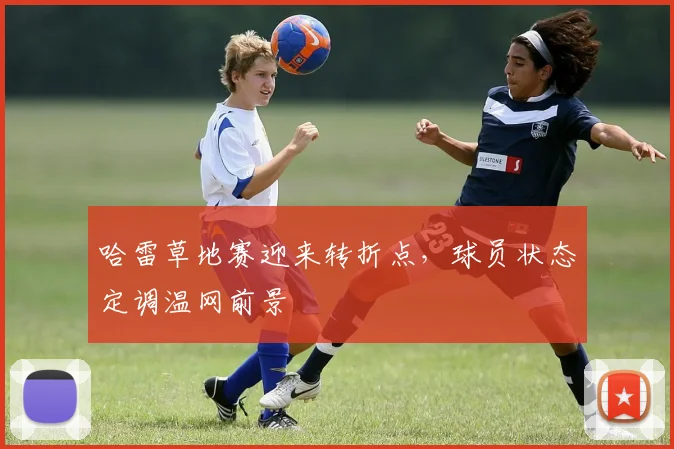 哈雷草地赛迎来转折点，球员状态定调温网前景