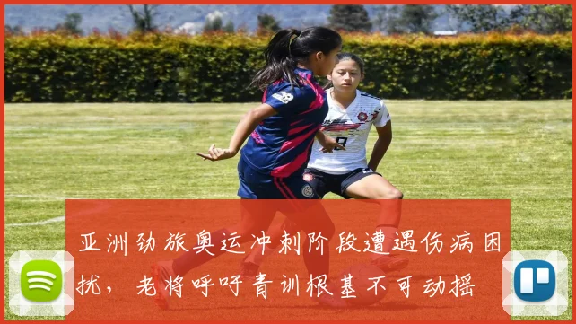 亚洲劲旅奥运冲刺阶段遭遇伤病困扰，老将呼吁青训根基不可动摇