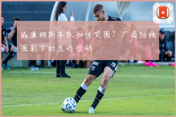 威廉姆斯车队如何突围？厂商防线围剿下的生存密码