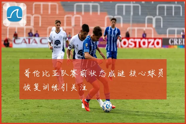 哥伦比亚队赛前状态成谜 核心球员恢复训练引关注