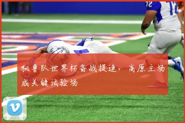秘鲁队世界杯备战提速，高原主场成关键试验场