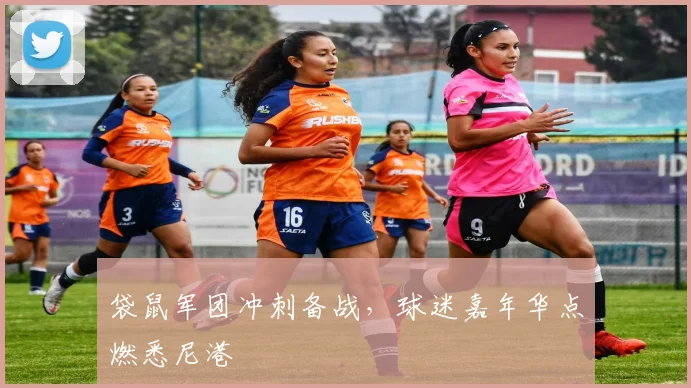 袋鼠军团冲刺备战，球迷嘉年华点燃悉尼港