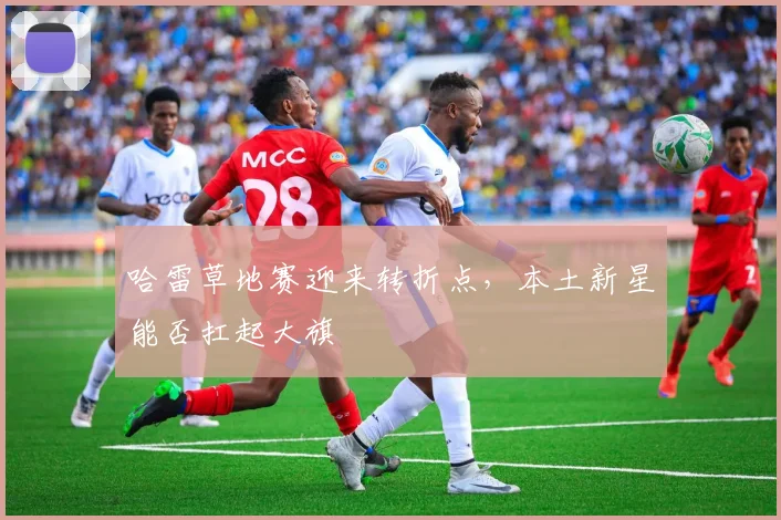 哈雷草地赛迎来转折点，本土新星能否扛起大旗